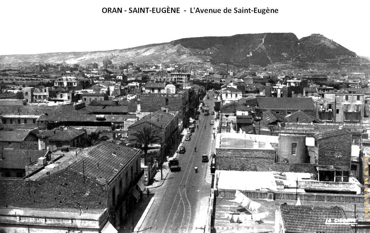 Oran - Saint-Eugene - Vue aerienne.jpg